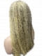 Elegant Neutral Blonde Sleek Straight Remy Human Hair Lace Wig WIG065